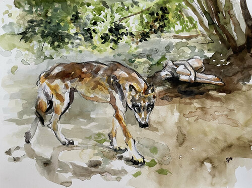 Animal Instinct di Claudia Barbu, Opera su carta in vendita su Singulart