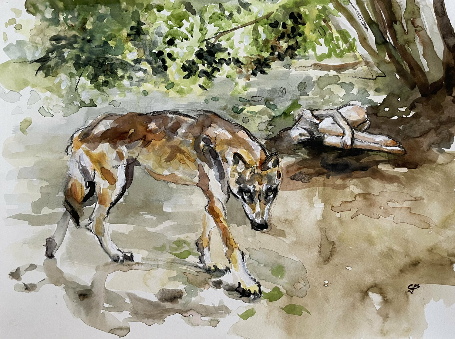 Animal Instinct Claudia Barbu