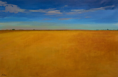 Campos de Trigo. Karen Kruse