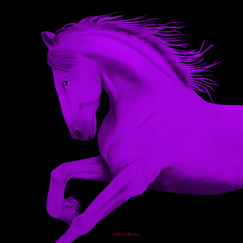 PURPLE HORSE di THIERRY BISCH, Digitale in vendita su Singulart