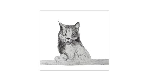 Die Katze par Birgitt Becker, Dessin en vente sur Singulart