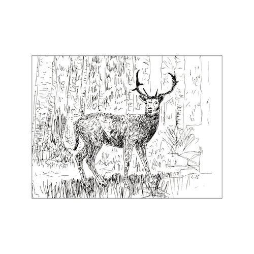 Der Hirsch par Birgitt Becker, Dessin en vente sur Singulart