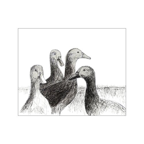 Die Enten by Birgitt Becker, 素描 for Sale on Singulart