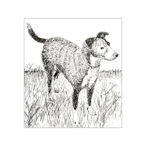 Der Hund van Birgitt Becker, Tekening te koop op Singulart