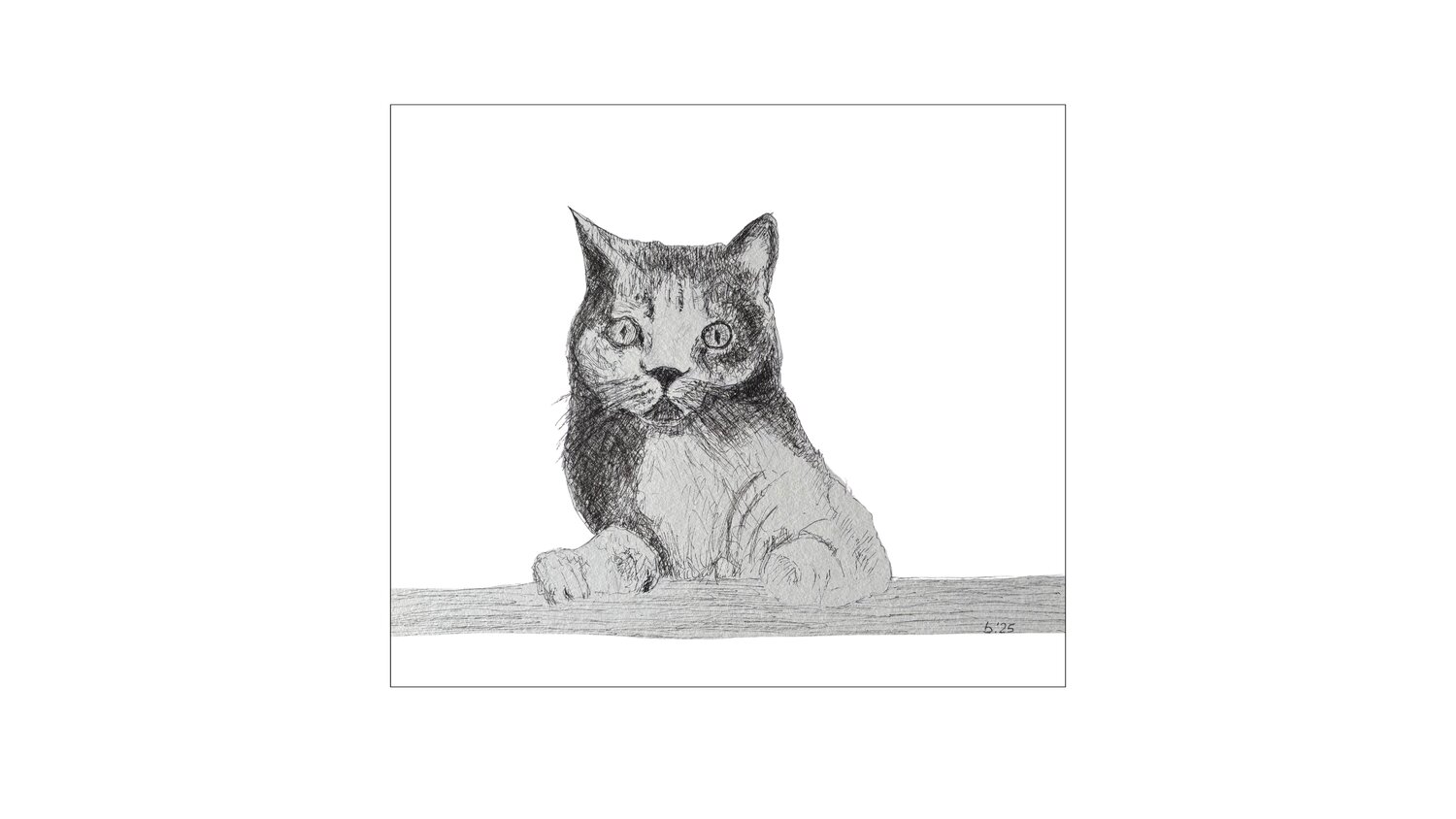 Die Katze Birgitt Becker