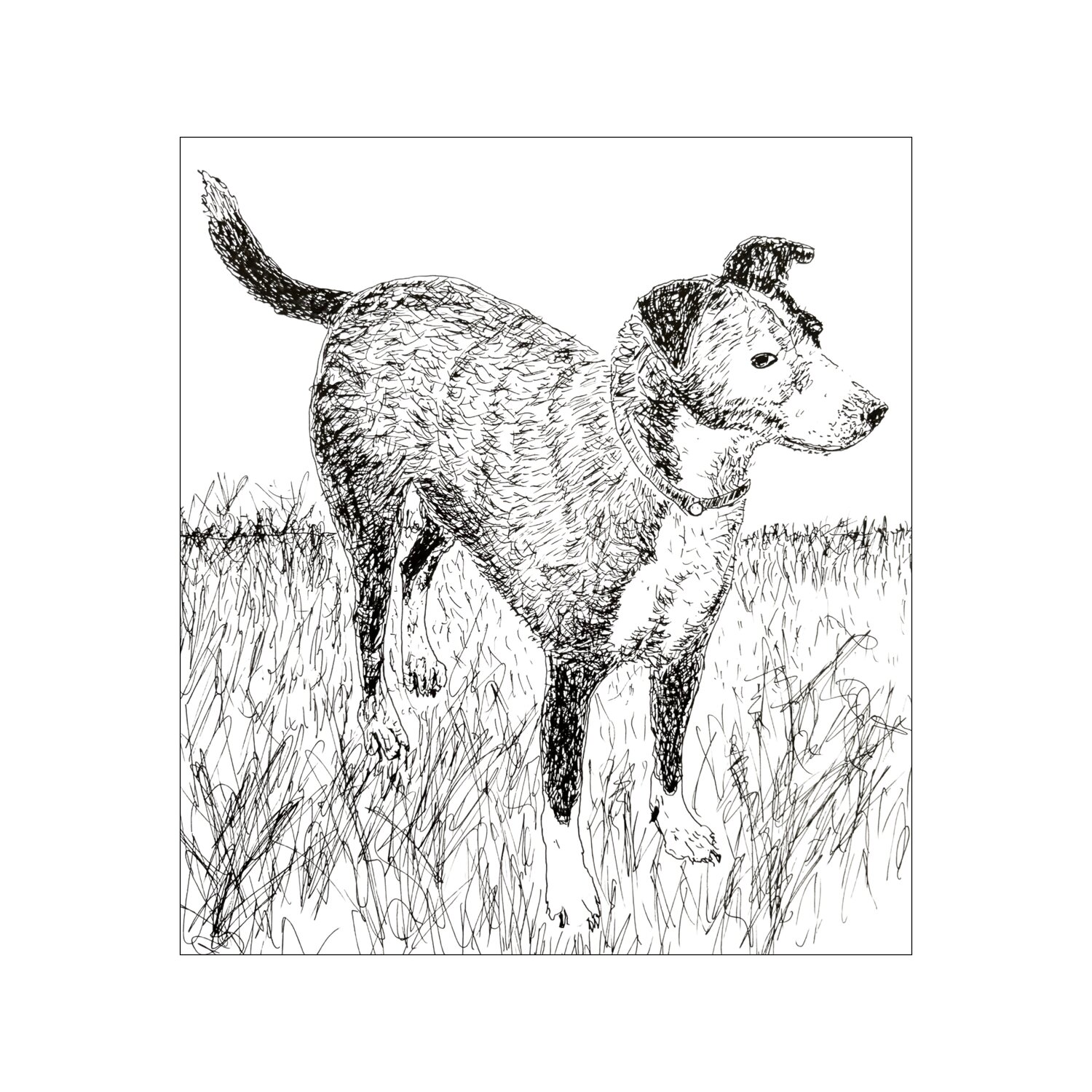 Der Hund Birgitt Becker