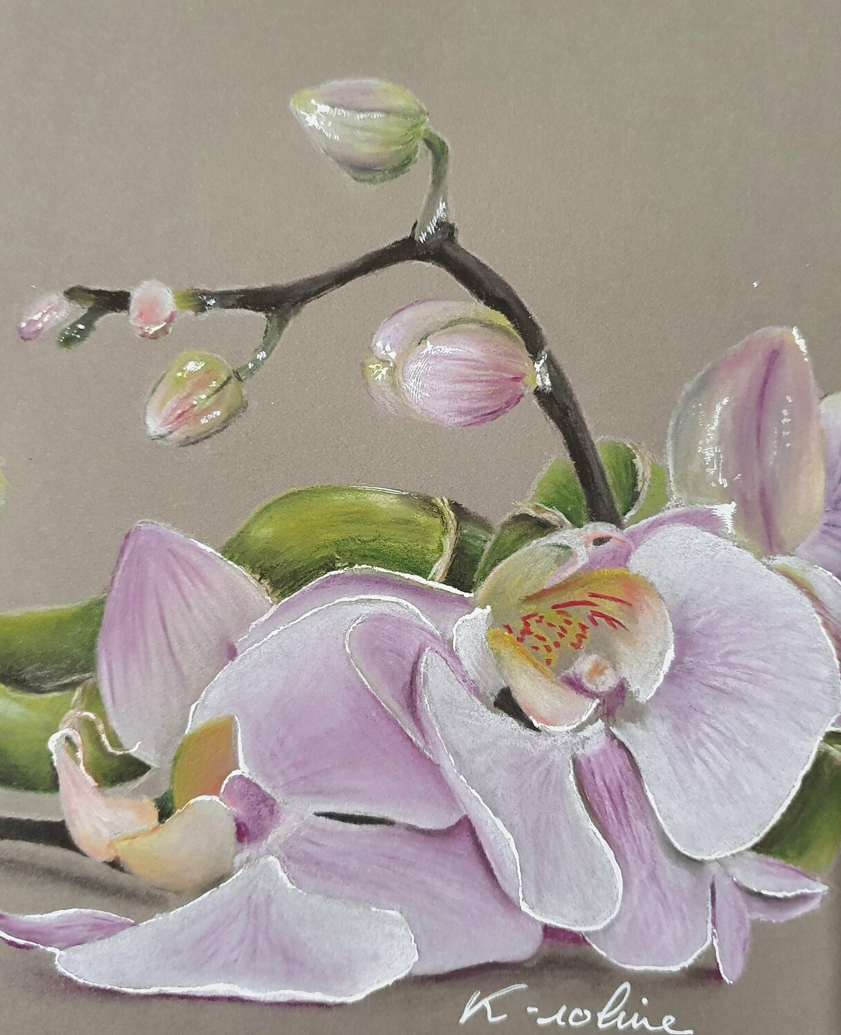 La sexualité des orchidées s'invite sur scène - Carbo, image size:1218x1500