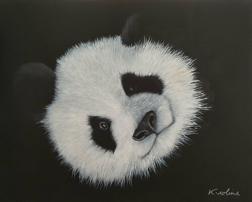 PANDA - Je craque pour toi van K-roline, Schilderij te koop op Singulart