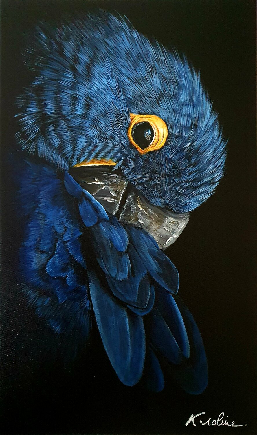 Blue Color K-roline