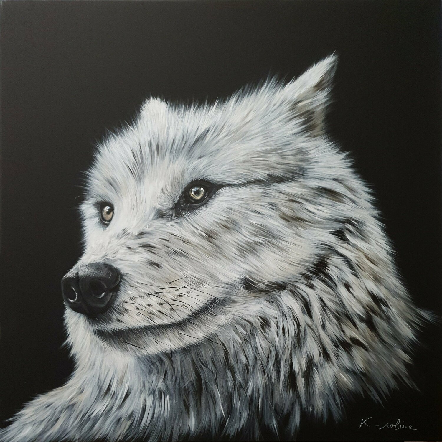Il y a comme un loup ... K-roline
