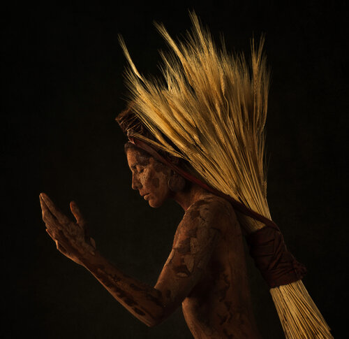 Wheat Harvest Alfredo Sanchez