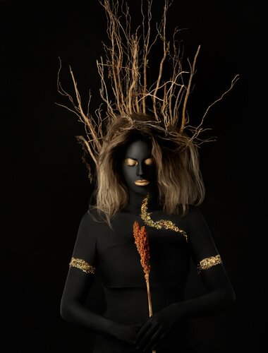 Sorghum & Gold von Alfredo Sanchez, Fotografie kaufen auf Singulart
