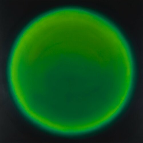 CHROMATICS - green di Ernestine Faux, Pittura in vendita su Singulart