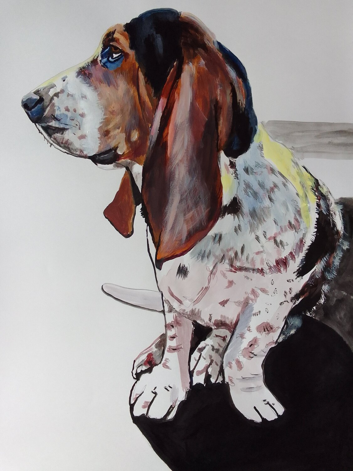 Basset hound by soso kumsiashvili (2022) Work on Paper Acrylic