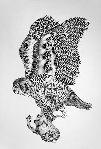 Snowy Owl I par Linnea Pergola, Dessin en vente sur Singulart