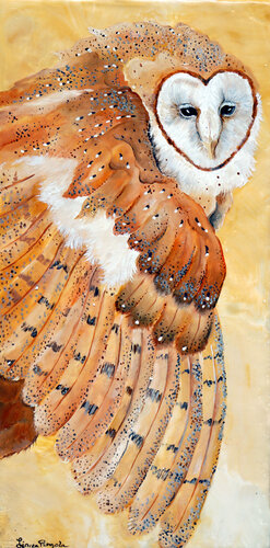 Barn Owl by Linnea Pergola, Painting for Sale on Singulart