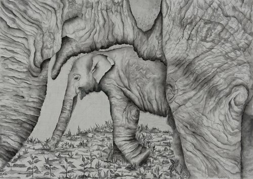 Baby Elephant and Mom in Thailand von Linnea Pergola, Zeichnungen kaufen auf Singulart