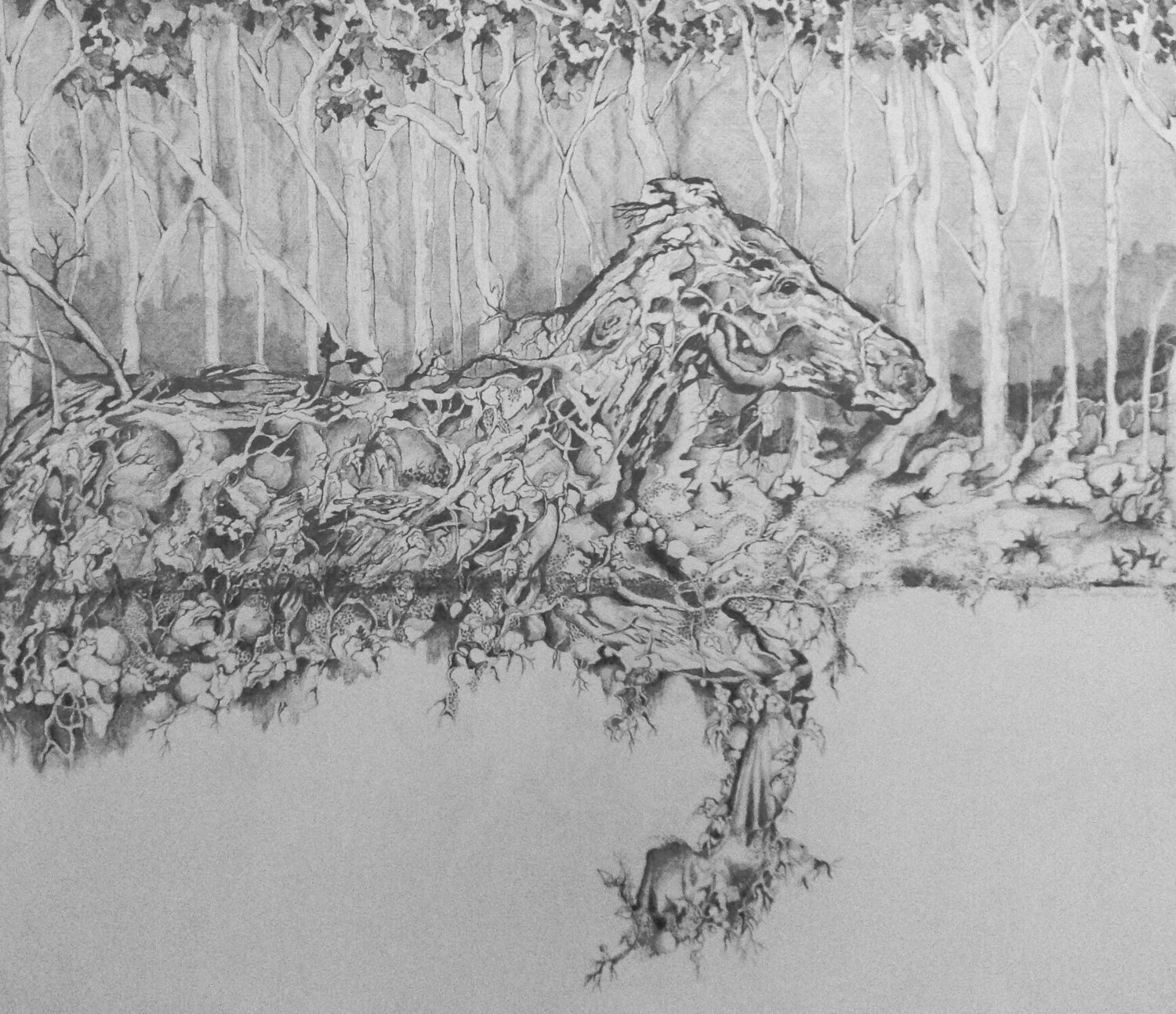 Emerging From the Forest Linnea Pergola Zeichnungen zu verkaufen