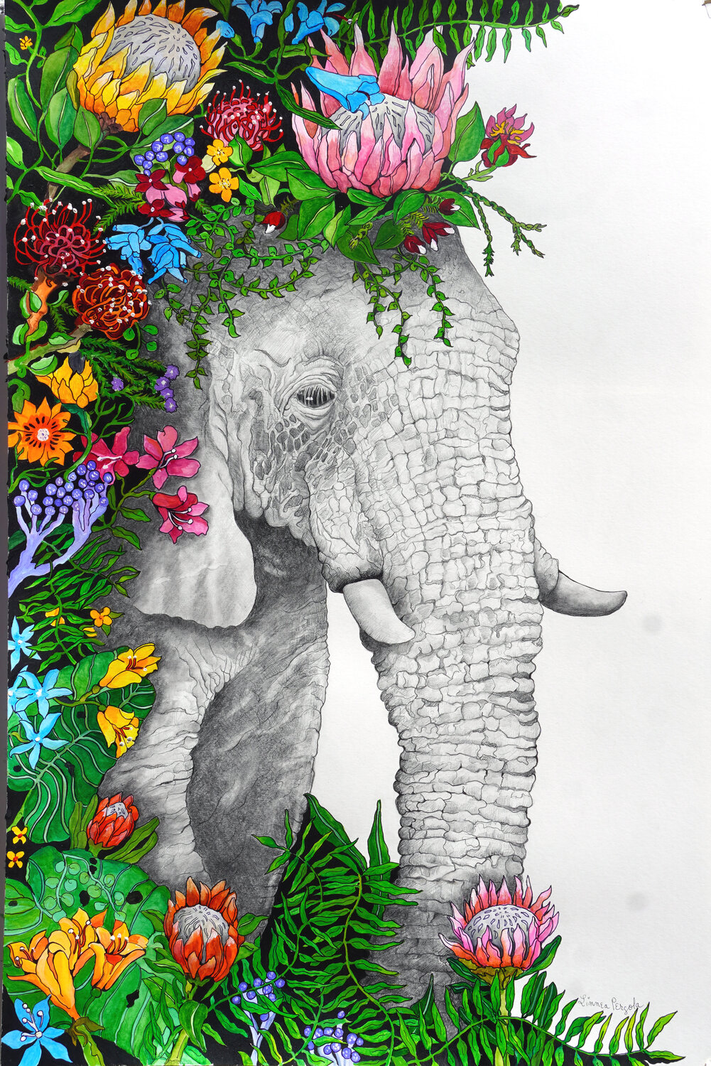 Fynbos Elly Linnea Pergola Pintura original en venta