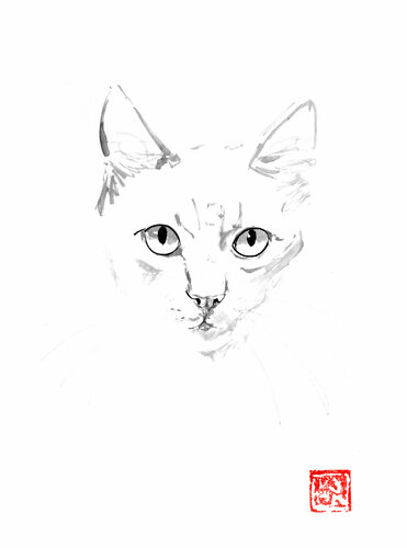 cat ginger by Pechane Sumie, Drawing for Sale on Singulart