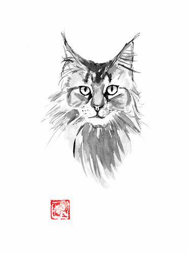 main coon by Pechane Sumie, Drawing for Sale on Singulart