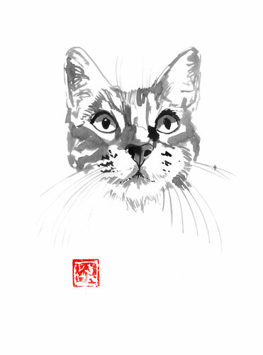 cat face by Pechane Sumie, Drawing for Sale on Singulart