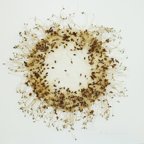 I go beyond form Malgorzata Krakowiak