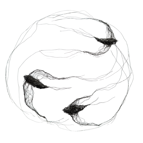 Birds in a circle II Maja Gajewska