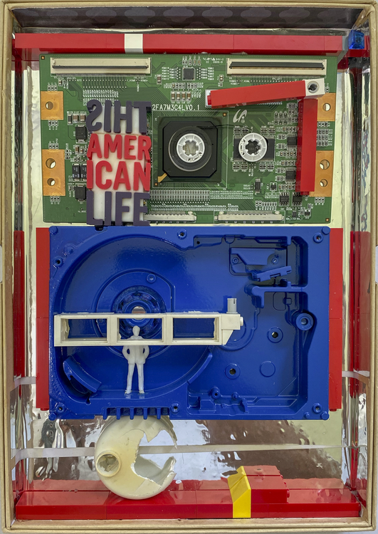 310 - THIS AMERICAN LIFE Aleks Rosenberg