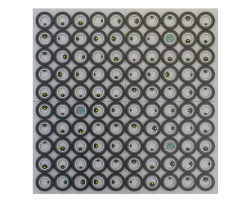 Vitamins 3 Nazar Symotiuk