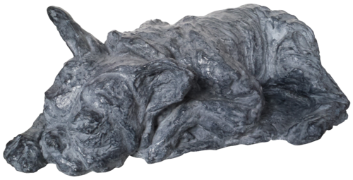 Le Chien du Modèle jeanine FITOU VALENS