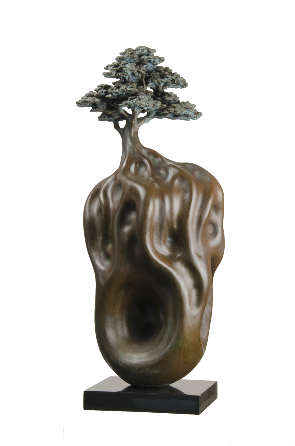 The Zen tree Divyendu Anand