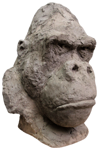 primate von juan angel saiz manrique, Skulptur kaufen auf Singulart