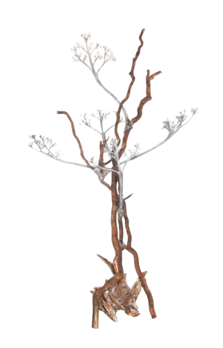 Arbre corse branché von Sof - Sophie Voigt-Chadeyron, Skulptur kaufen auf Singulart