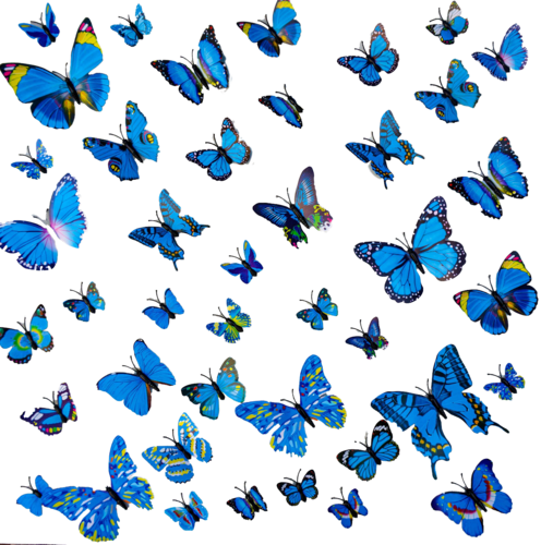 Butterfly park 3 van Sumit Mehndiratta, Beeldhouwwerk te koop op Singulart