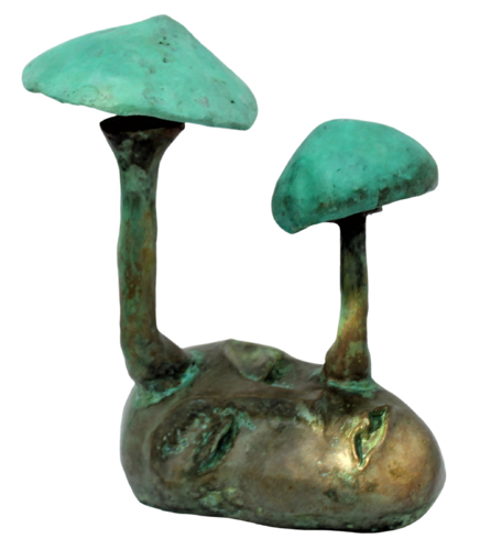 Vénus aux champignons (n° 286) Didier Fournier