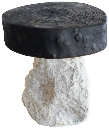 Escultura brutalista coleción ART BRUT van Jean-Baptiste Van den Heede, Beeldhouwwerk te koop op Singulart