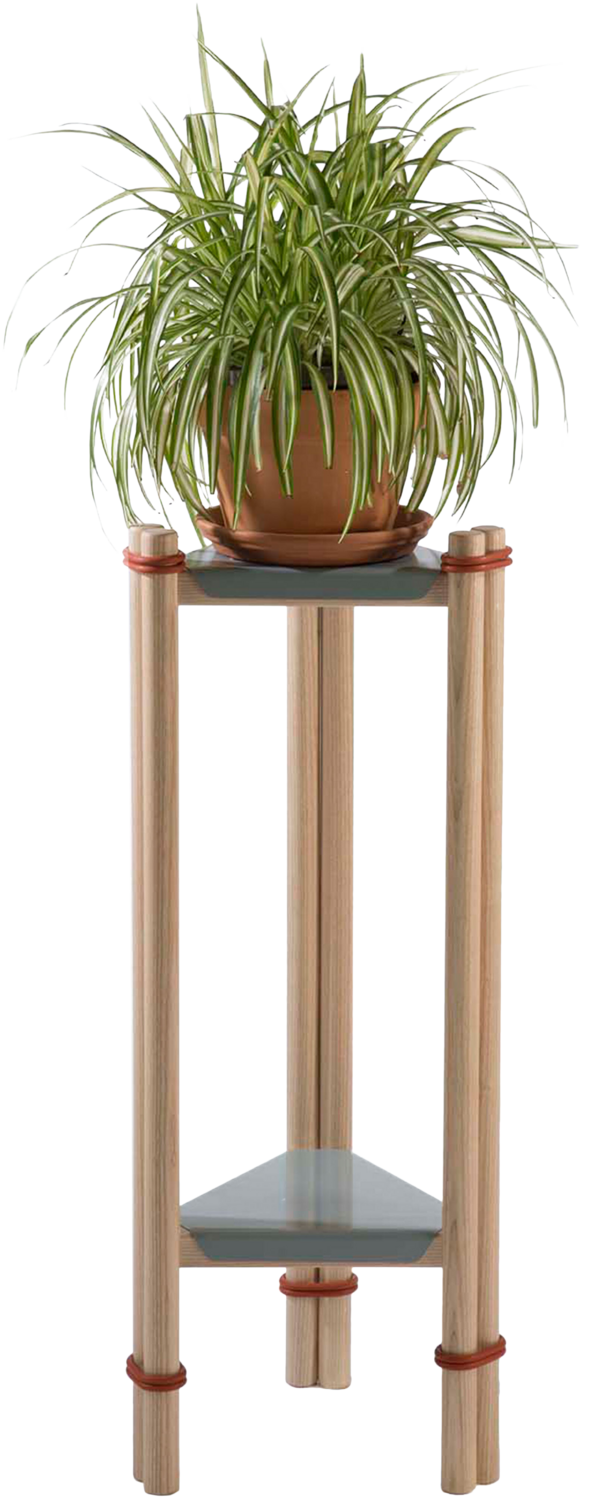 Oring Plant stand by Ross Kellogg (2015) Tables Wood, Steel SINGULART