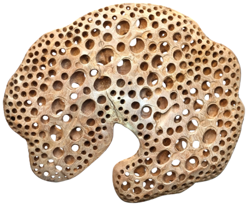 Kerbenlochplatte von Olli Marschall, Skulptur kaufen auf Singulart