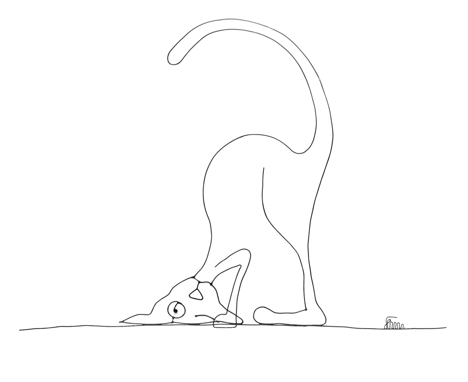 Yoga Cat Amédé Flum