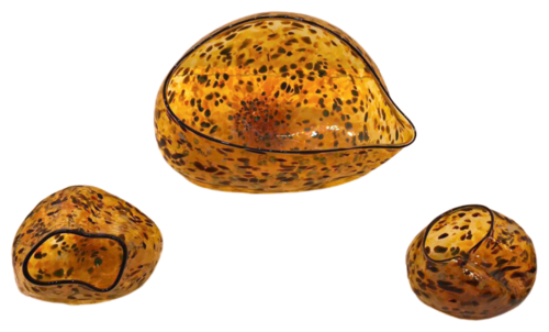 Seashells, ca. 2000's by Dale Chihuly, Sculpture for Sale on Singulart