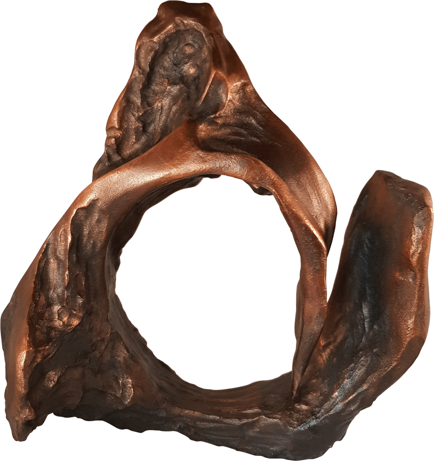 La petite ARENE Laure Polin