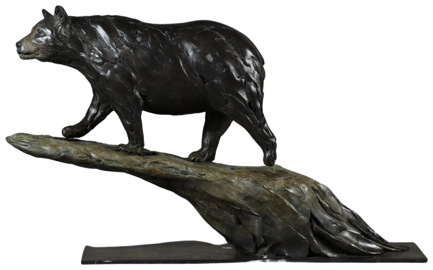 American Black Bear by Edward Waites (2024) : Sculpture Bronze - SINGULART