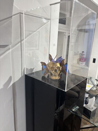 Vanité aux papillons von Philippe Pasqua, Skulptur kaufen auf Singulart
