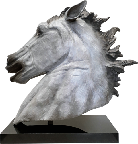 Equus Caballus (Modern Horse) di Barry Davies RCA, Scultura in vendita su Singulart