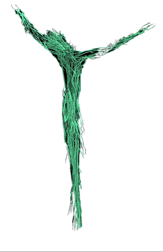 Christus "Ramas" by Claudio Pincas Feldman, Sculpture for Sale on Singulart