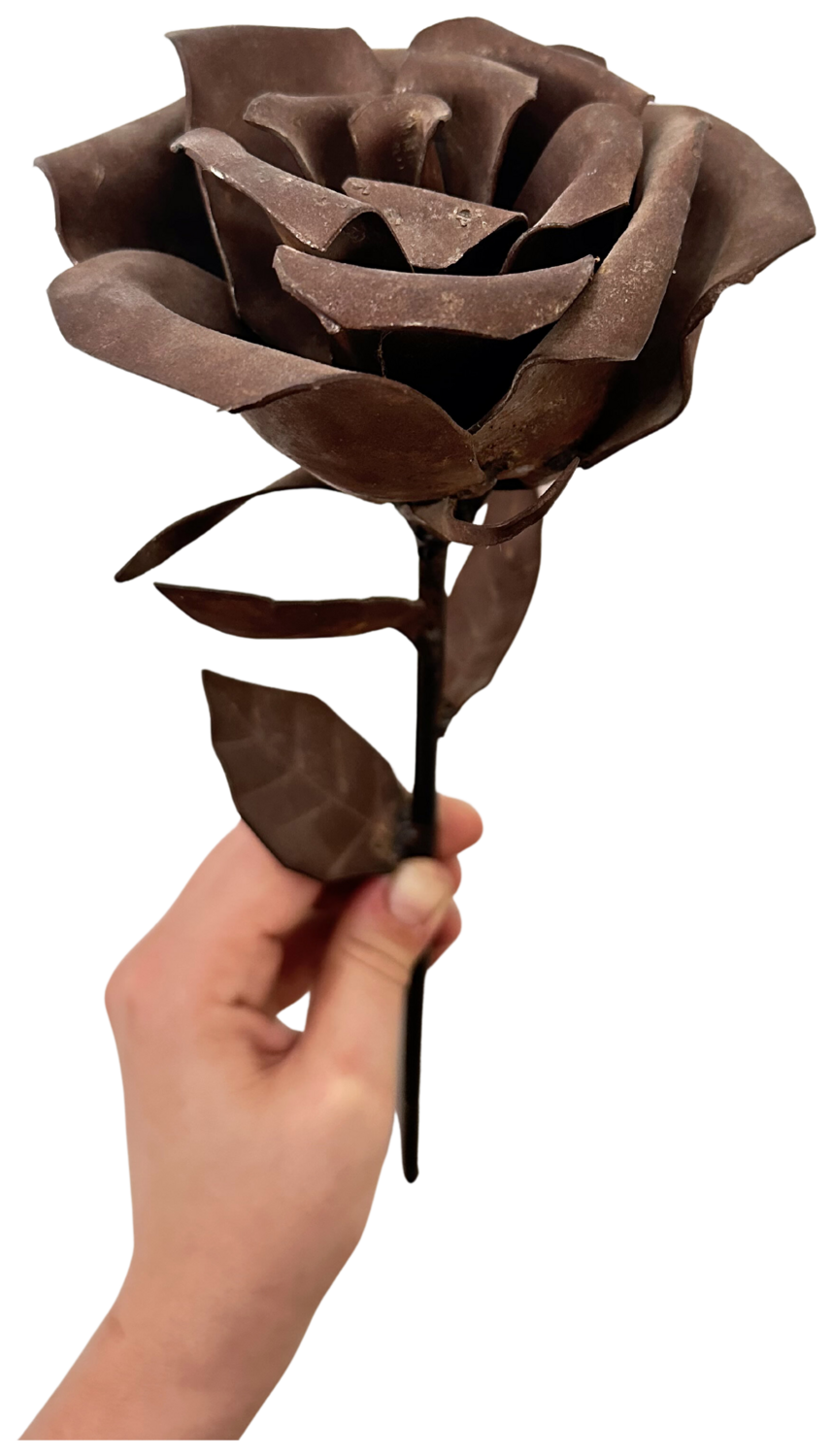 Rosa de metal Brenda Cordi