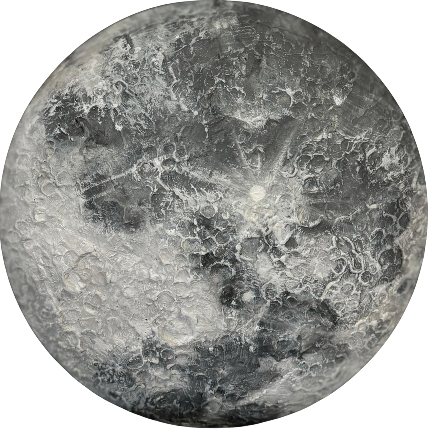 LUNA Griggia Predună Cristinel