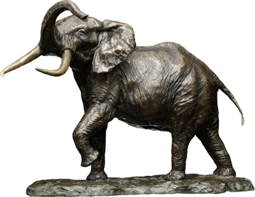 African Elephant, Big Tusker ( Limited edition ) de Barry Jackson, Escultura a la venta en Singulart
