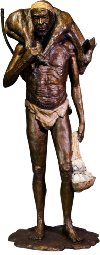 Returning Hunter. Koi San (Limited Edition) di Barry Jackson, Scultura in vendita su Singulart